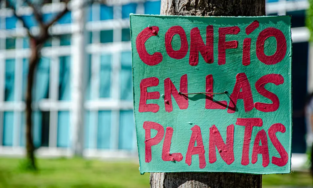 multas del SII en la Operación Renta